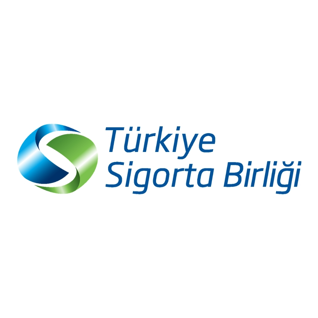 Destekleyen Kuruluş